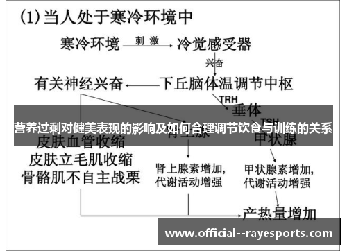 营养过剩对健美表现的影响及如何合理调节饮食与训练的关系