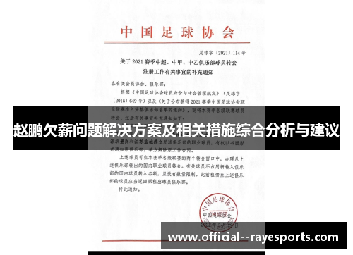 赵鹏欠薪问题解决方案及相关措施综合分析与建议